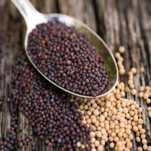 Mustard Seeds