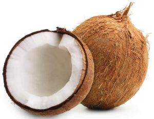 Semi Husked Coconut