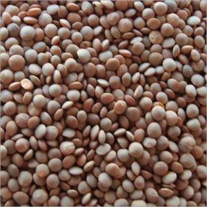 Whole Red Masoor Dal