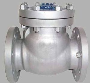 Stainless Steel 316L Non Return Valve