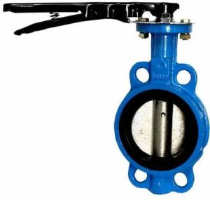 Stainless Steel 317 Butterfly Valve