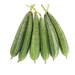 Fresh Ridge Gourd