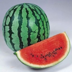 Refreshing Watermelon