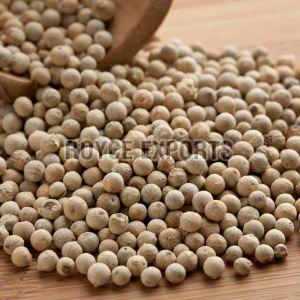 Whole White Pepper Seeds