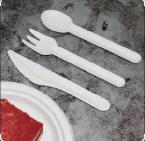 Sugarcane Bagasse Cutlery Set