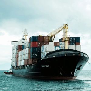 EPCG License Service