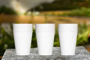 12 OZ Double Wall White Paper Cup