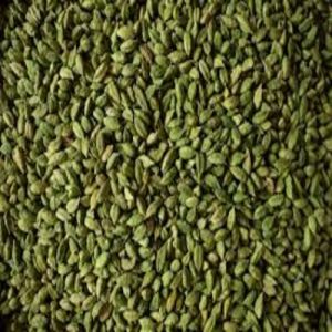 green cardamom