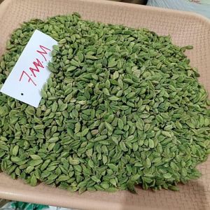 7 Mm Green Cardamom Seeds
