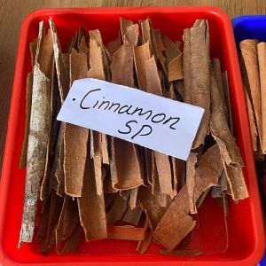 SP Grade Cinnamon Stick