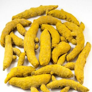 A Grade Turmeric Finger