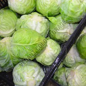 Frozen Cabbage