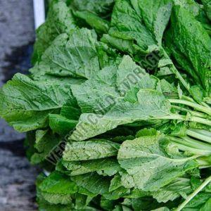 Frozen Mustard Leaves