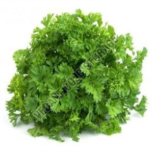 Frozen Parsley