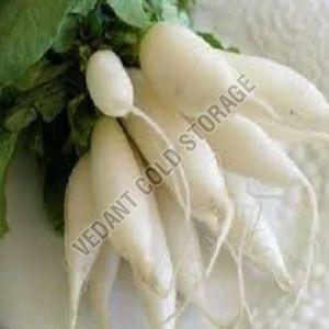 Frozen Radish
