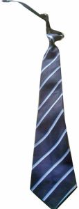 Boys Striped Polyester School Tie