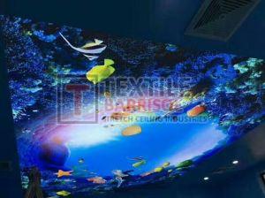 3D Aqua Stretch Ceiling