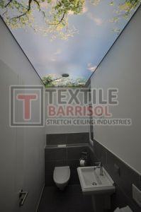 3D Bathroom Stretch Ceiling