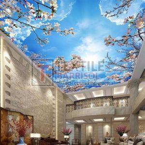 3D Printed Stretch Ceiling