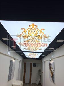 3D Royal Stretch Ceiling