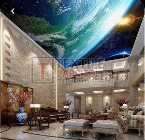 3D Textile Residence Stretch Ceiling