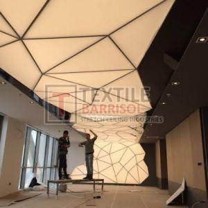 3D Stretch Decorative Canvas Ceiling