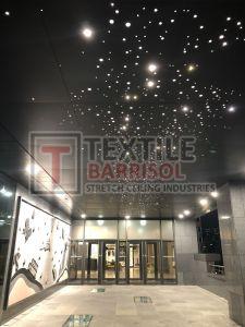 Fiber Optic Stretch Ceiling