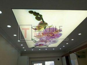 Floral Stretch Ceiling