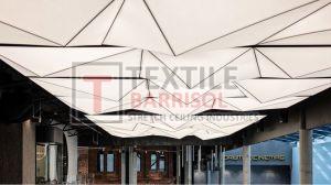 Tranding Viral Stretch Ceiling