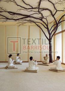 Yoga Center Stretch Ceiling