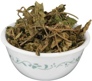 Dry Gymnema Sylvestre Leaves