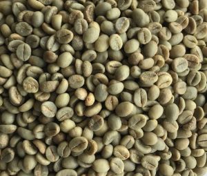 Arabica Parchment Coffee Beans