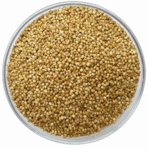 Kodo Millet Seeds