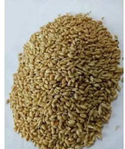 Milling Wheat Seeds
