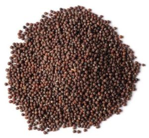 Brown Mustard Seeds