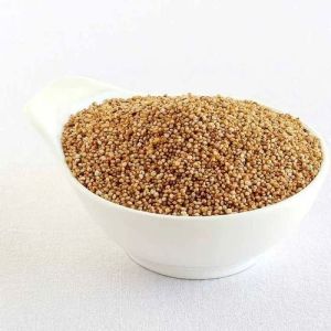 Kodo Millet Seeds