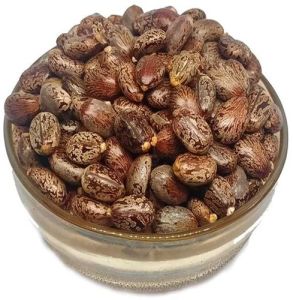 Hybrid Castor Seeds