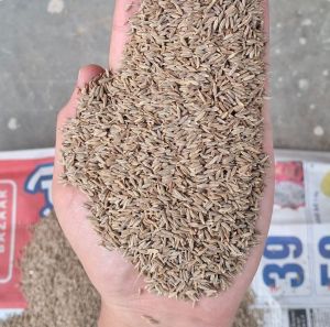 Whole Brown Cumin Seeds