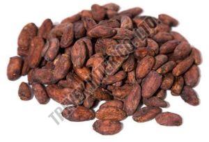 Cocoa Beans