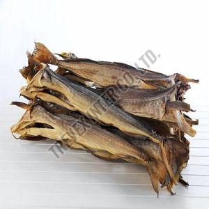 Dried Stock Fish