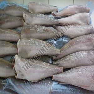 Frozen Hake Fish