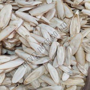 White Dried Cuttlefish Bone