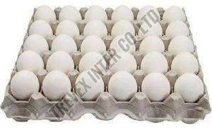 White Table Chicken Eggs