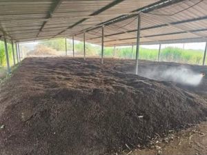Vermicompost Fertilizer