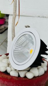 Max Movable COB Light