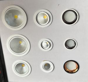 Max Movable COB Light