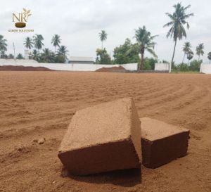 Square Coco Peat Blocks