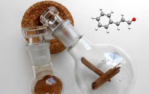 Cinnamic Aldehyde Aroma Chemical