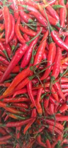 Fresh Red Chilli