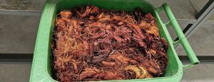 armature copper wire scrap